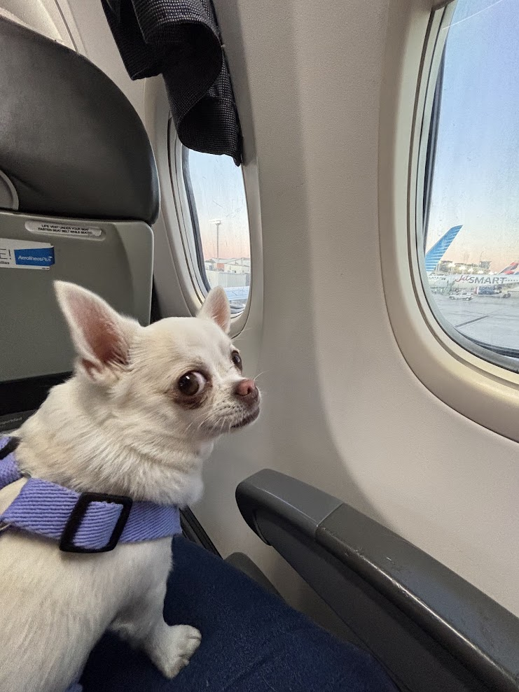 Eva sentada junto a la ventanilla de un avión