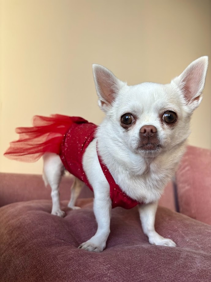 Eva con un look rojo