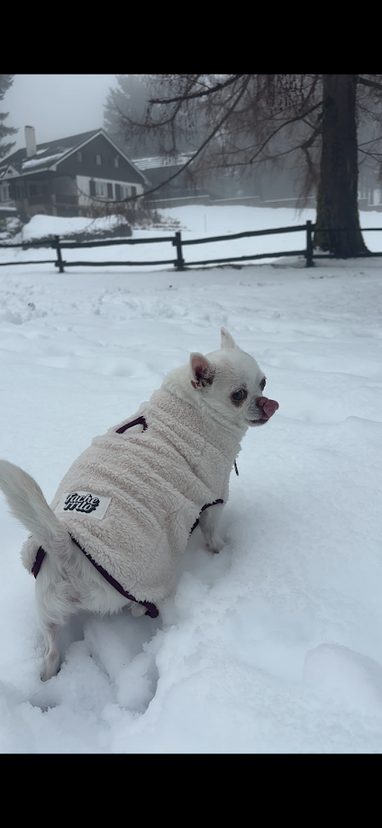 Eva con un abrigo blanco en la nieve
